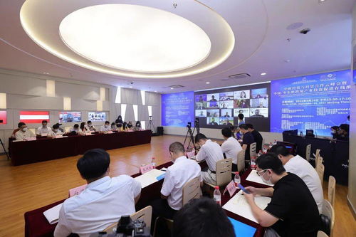 攜手云端 共贏未來 中歐經(jīng)貿(mào)與投資合作云峰會暨中國-中東歐跨境產(chǎn)業(yè)投資促進在線推介會圓滿落幕